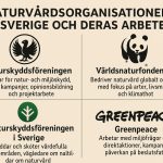 Naturvårdsorganisationer i Sverige och deras arbete
