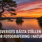 Sveriges bästa ställen för fotografering i naturen